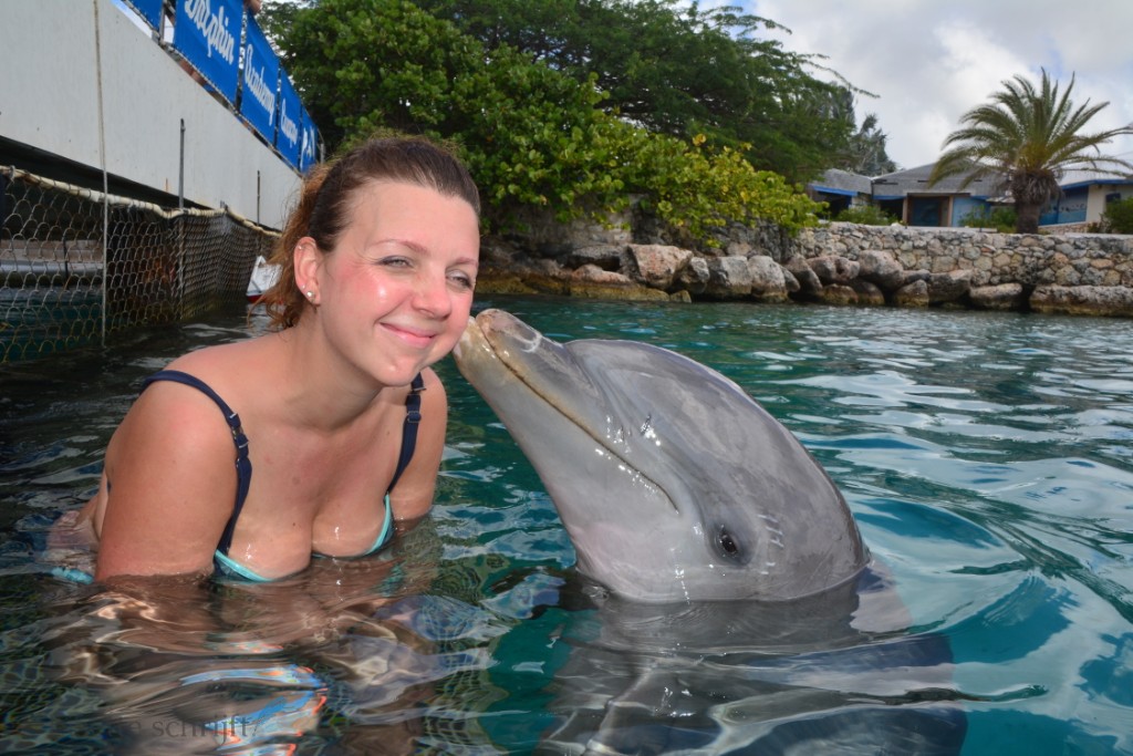 BN'ers op Curacao met dolfijnen zwemmen Lisette Schrijft
